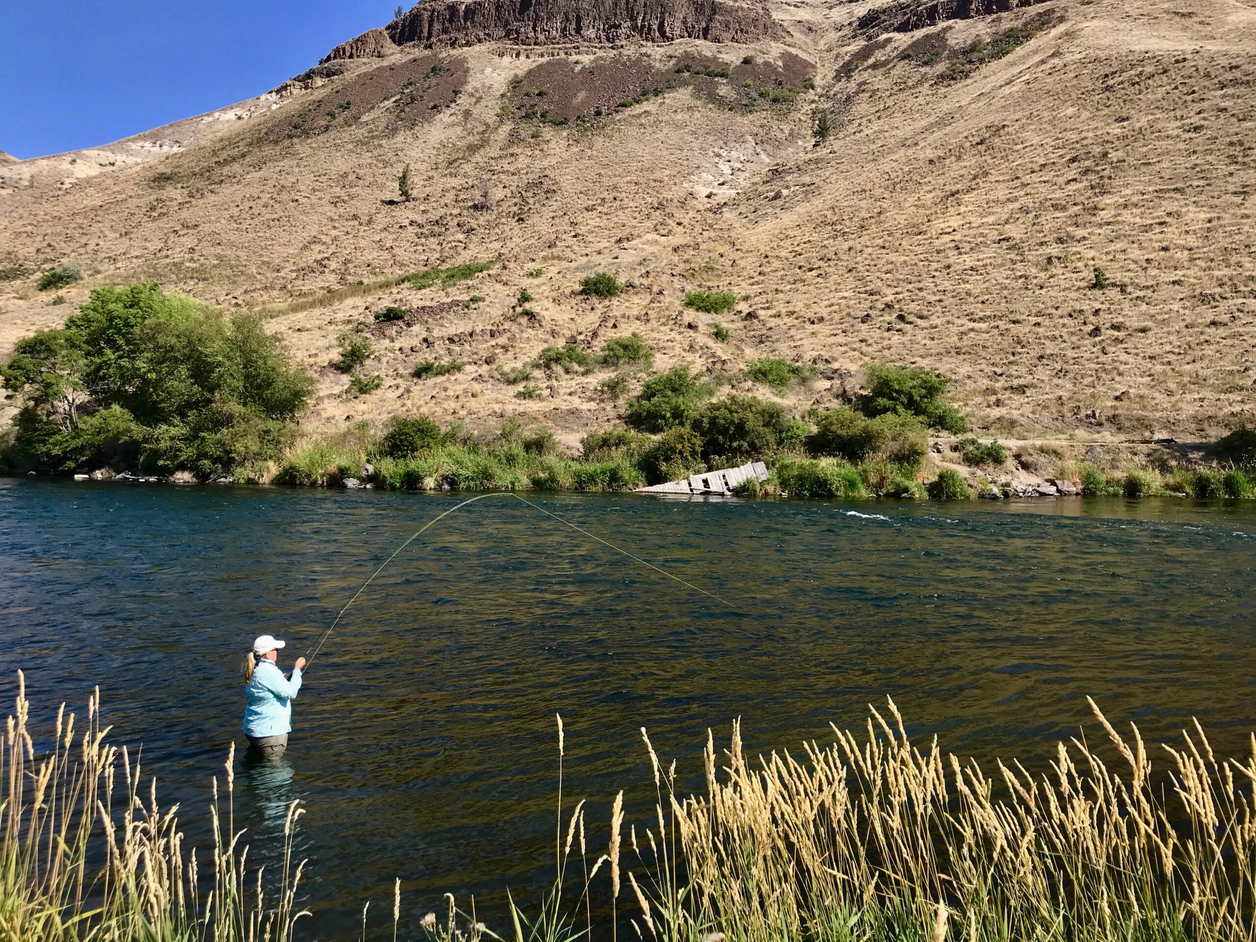 Lower Deschutes River Guided Fly Fishing Griff Marshall Outdoors