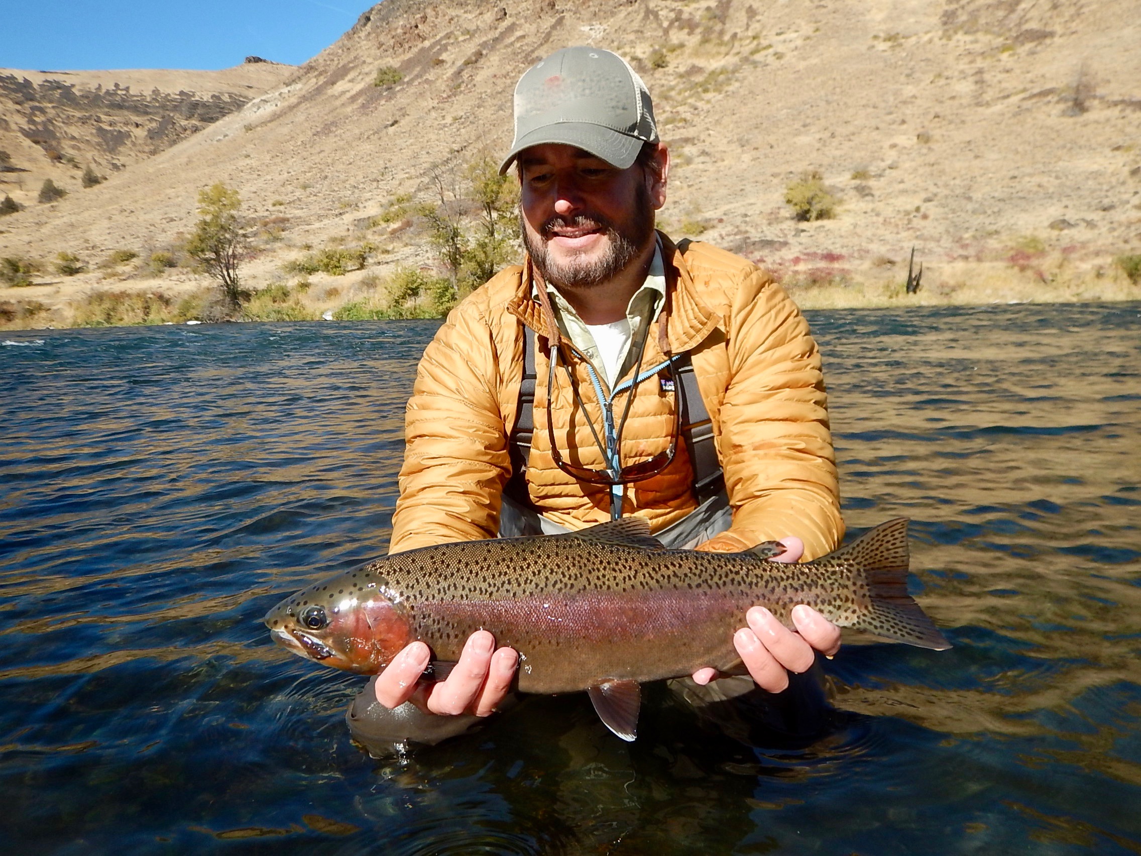 Native Redband Rainbow Trout Lower Deschutes River Guided Fly Fishing Griff Marshall Outdoors